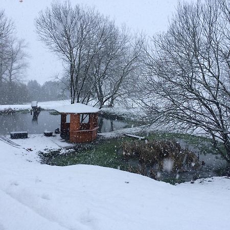 Gite Du Cheval Blanc Sainte-Ode Exteriör bild