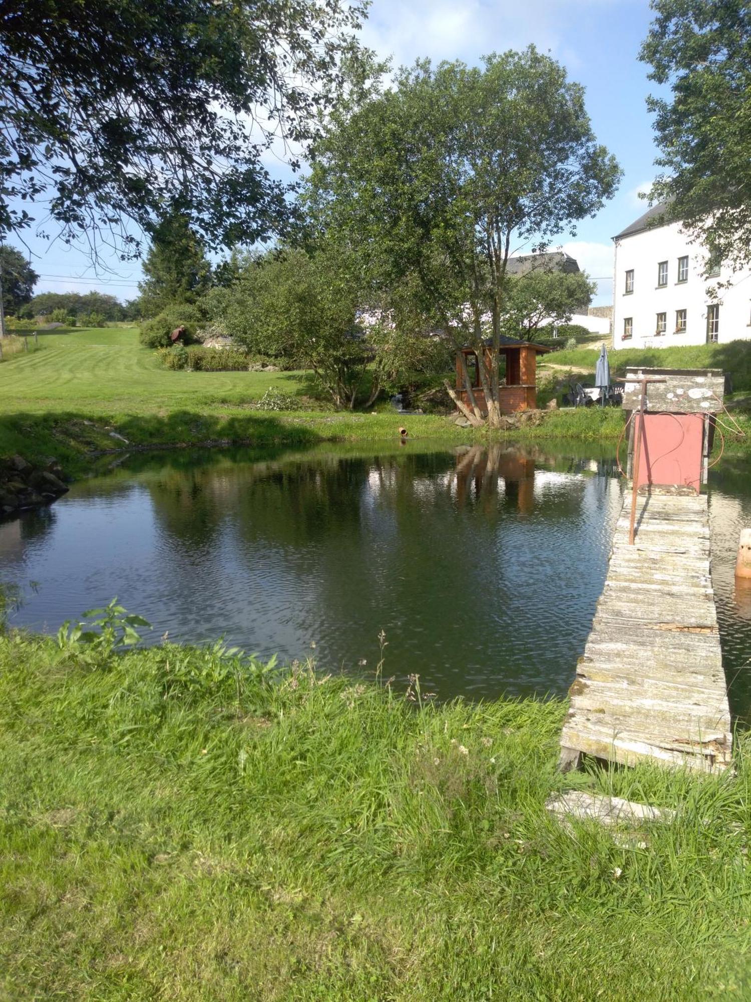 Gite Du Cheval Blanc Sainte-Ode Exteriör bild