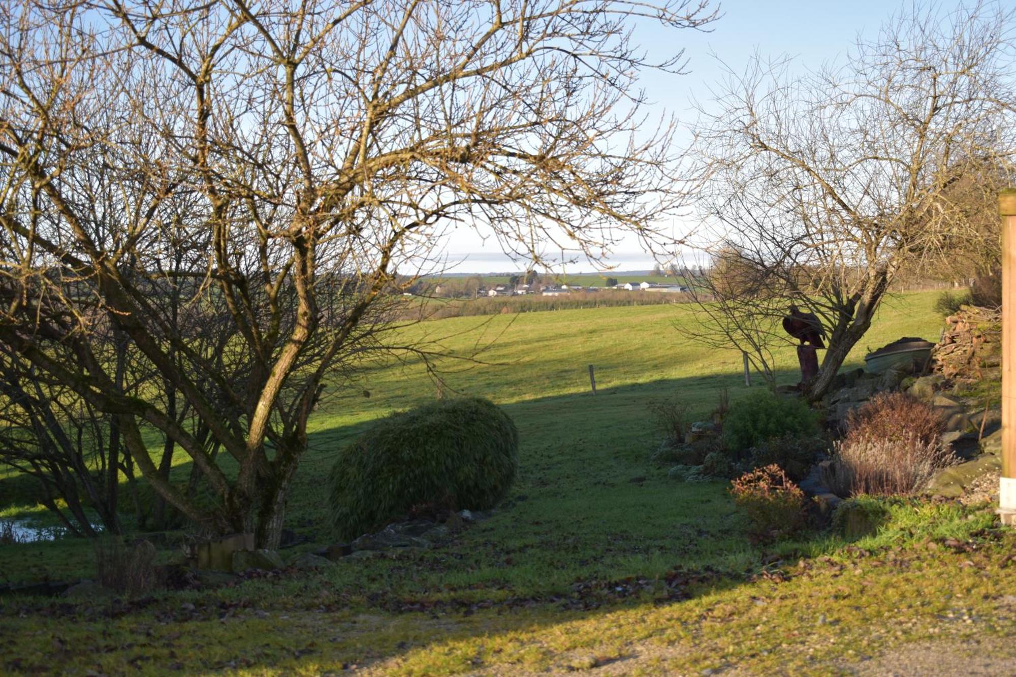 Gite Du Cheval Blanc Sainte-Ode Exteriör bild