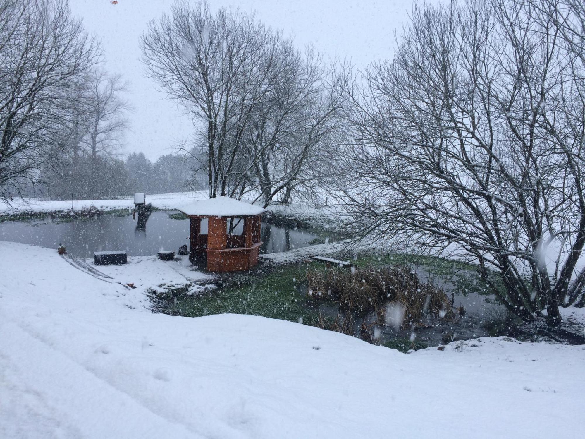 Gite Du Cheval Blanc Sainte-Ode Exteriör bild